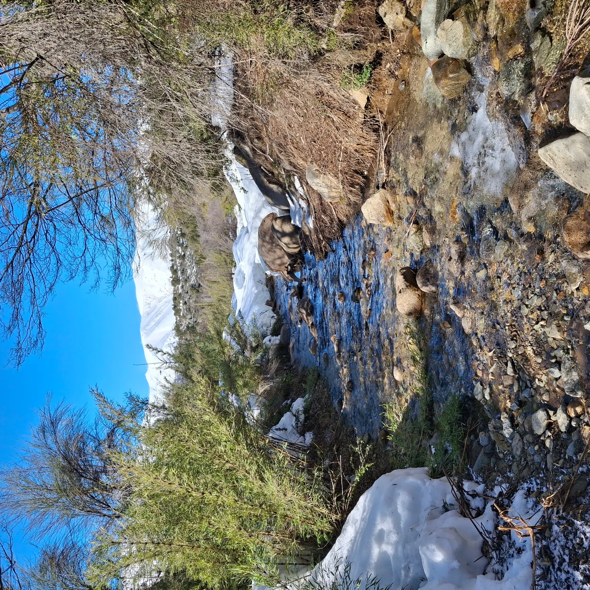 Imagen de Bariloche