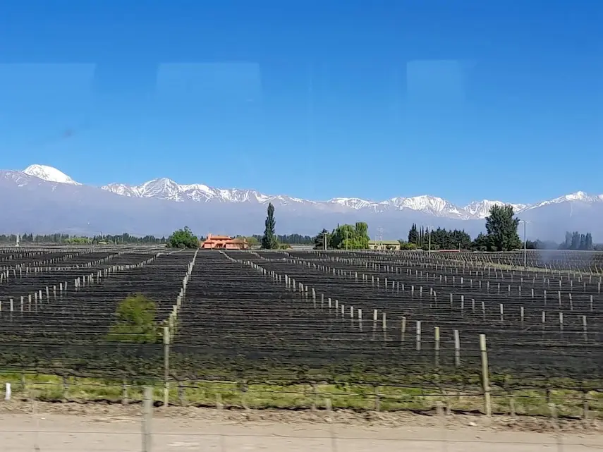 Imagen de Mendoza Jujuy