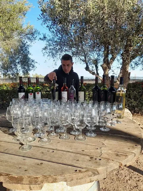 Imagen de Mendoza Jujuy Salta