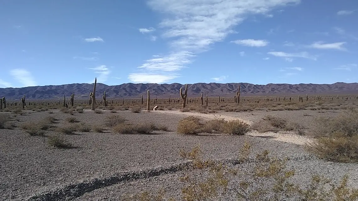 Imagen de Mendoza Jujuy Salta