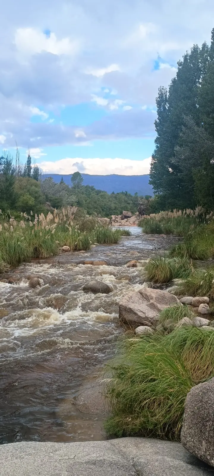 Imagen de Mina Clavero