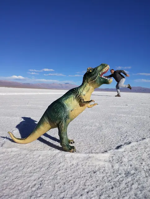Imagen de Salta Jujuy